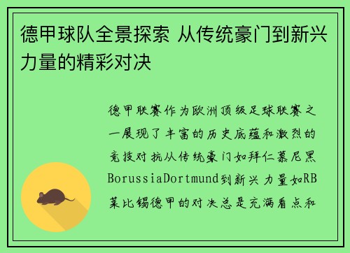 德甲球队全景探索 从传统豪门到新兴力量的精彩对决